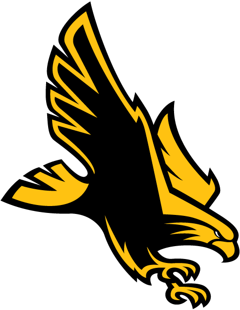 Southern Miss Golden Eagles 2003-Pres Alternate Logo fabric transfer